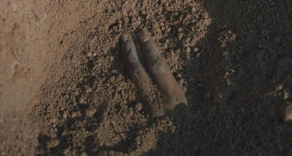 年度真实恐婚韩剧，看完跪求单身了