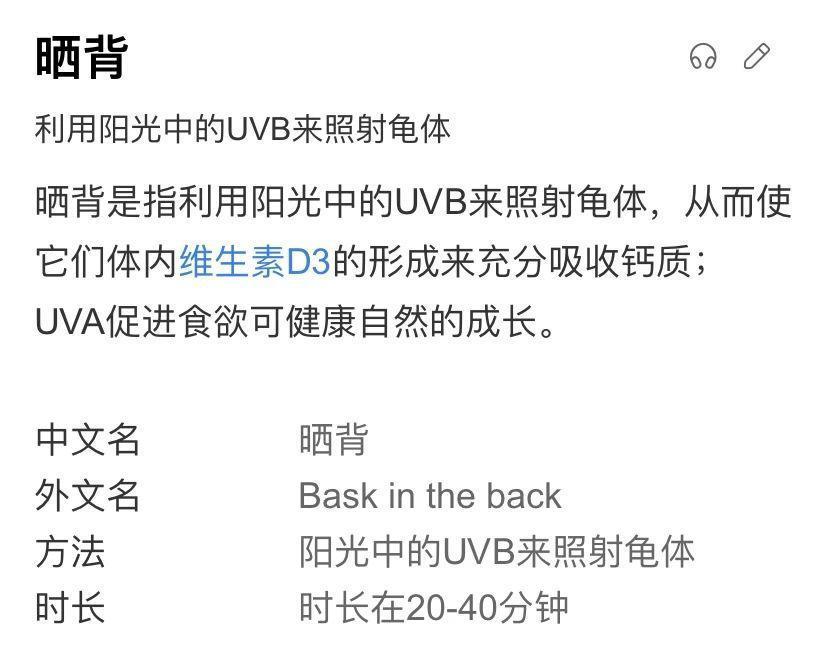 0 成本晒背，全民皆宜的养生方式走红网络.
