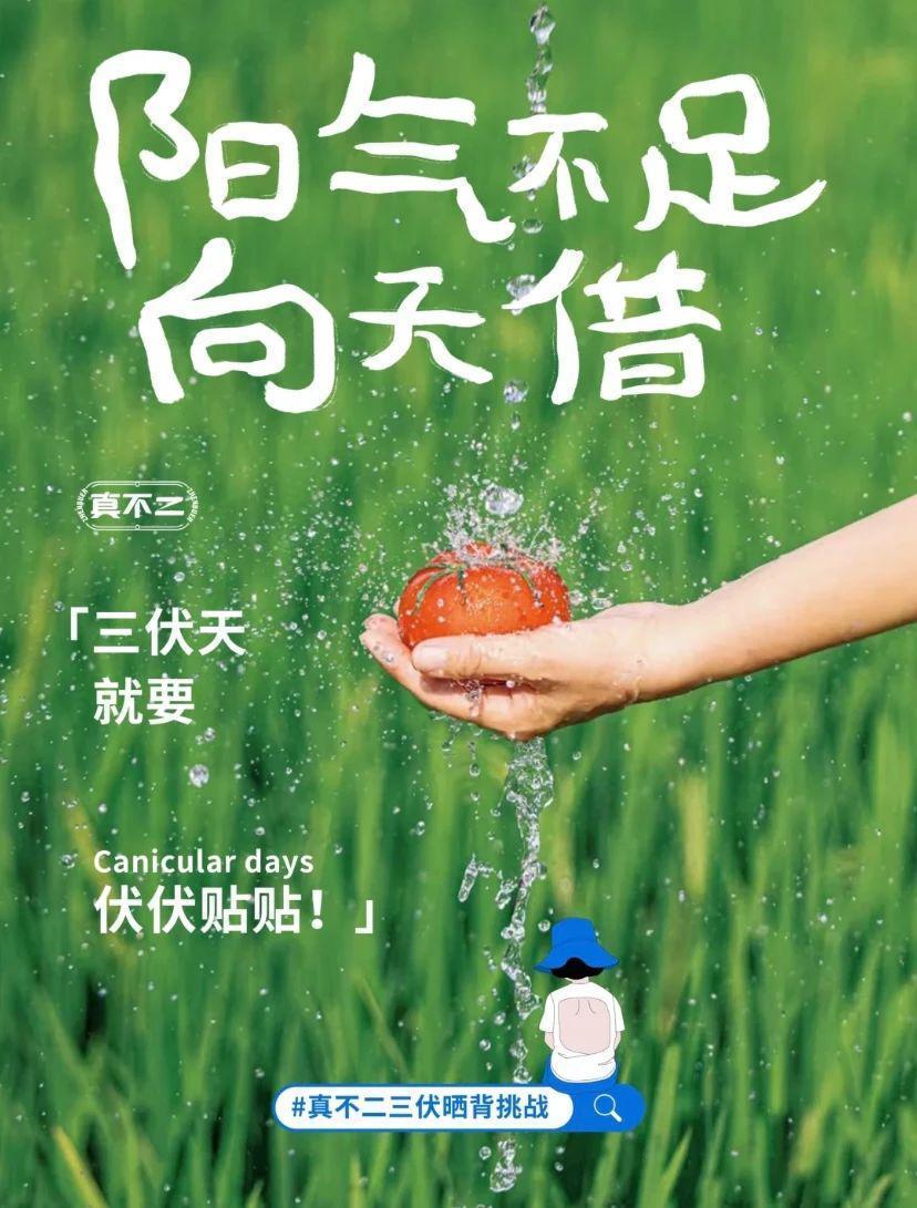 0 成本晒背，全民皆宜的养生方式走红网络.