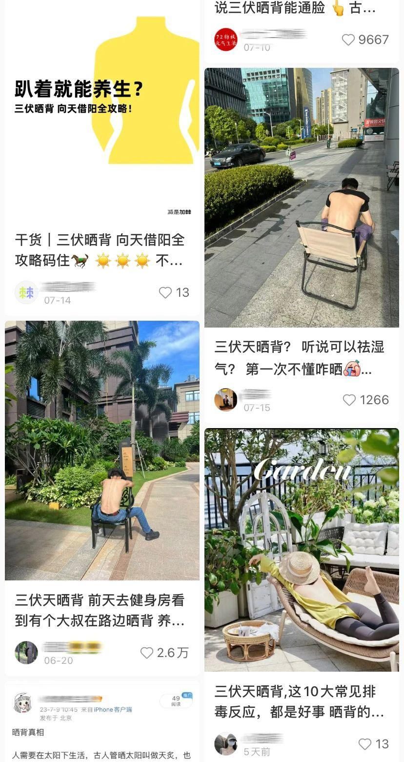 0 成本晒背，全民皆宜的养生方式走红网络.