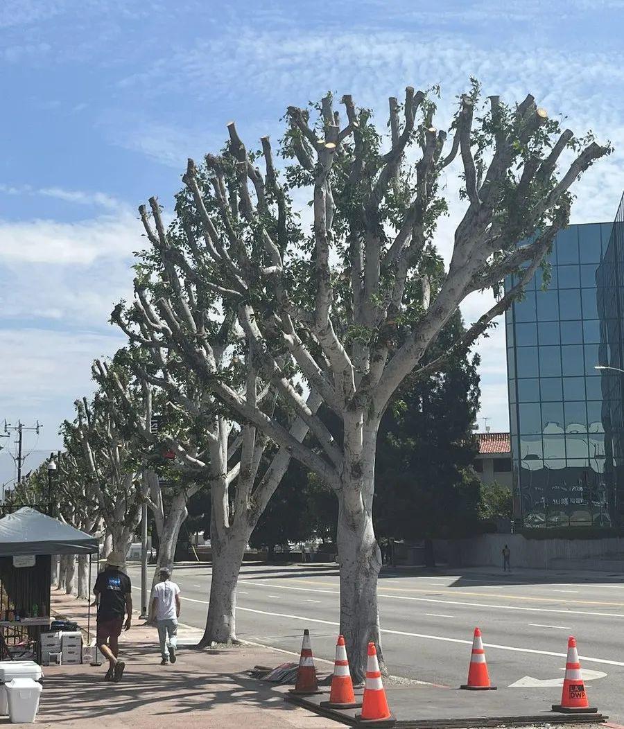 好莱坞空前大罢工，这锅AI背不背？