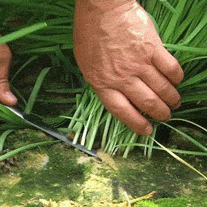 在北京吃顿20元以下的午饭，怎么就那么难呢？