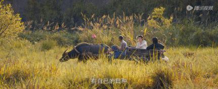 《欢颜》，国剧大胆狂徒