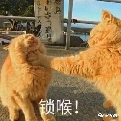 王宝钏都被她衬托成了事业脑，全网大吐槽才不是嫌贫爱富那么简单