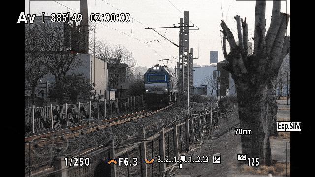 年轻人第一台全画幅 佳能EOS R8可以拍出怎样的照片