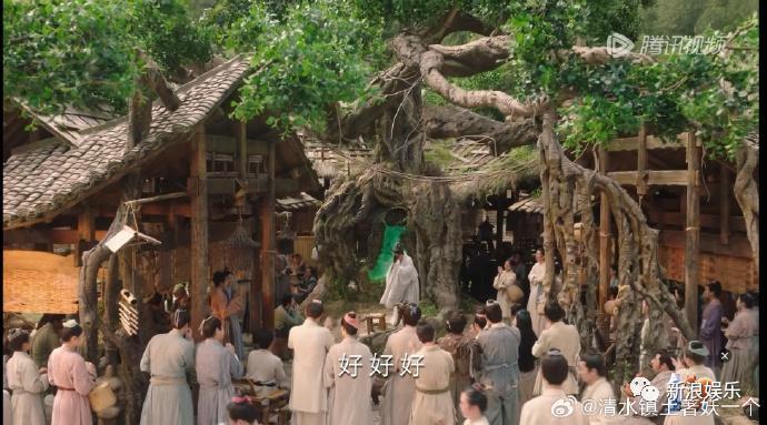 杨紫这恋爱谈得，也太惨烈了