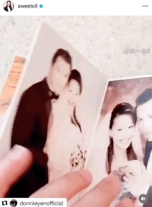 甄子丹汪诗诗补办婚礼，一窥这对cp牵起的神秘港圈交际网