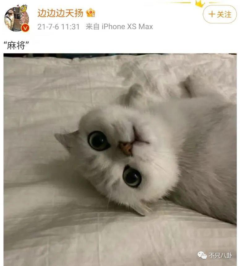 17岁就开始谈的姐弟恋情被曝光，他这算塌房了吗？