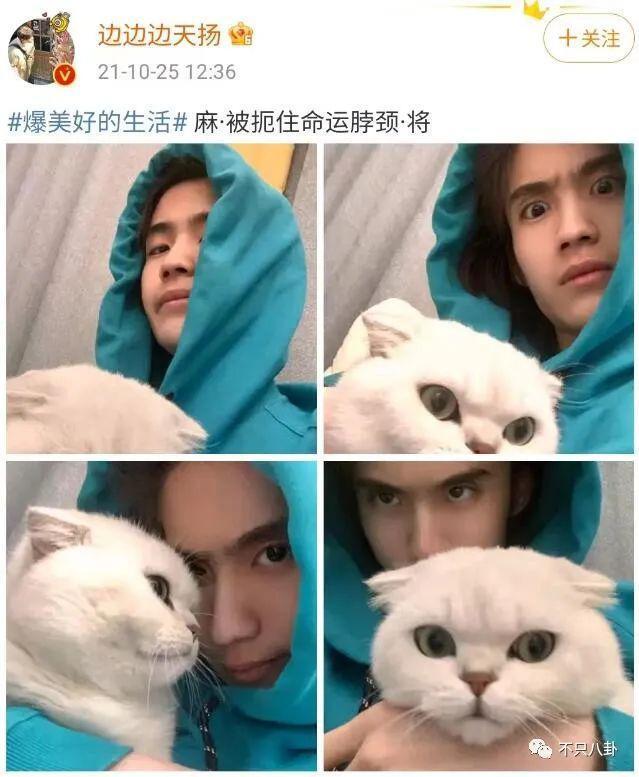 17岁就开始谈的姐弟恋情被曝光，他这算塌房了吗？