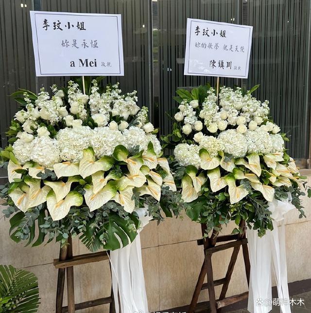 众星送别李玟！萧亚轩哭成泪人韩红面色沉重，成龙刘德华不舍