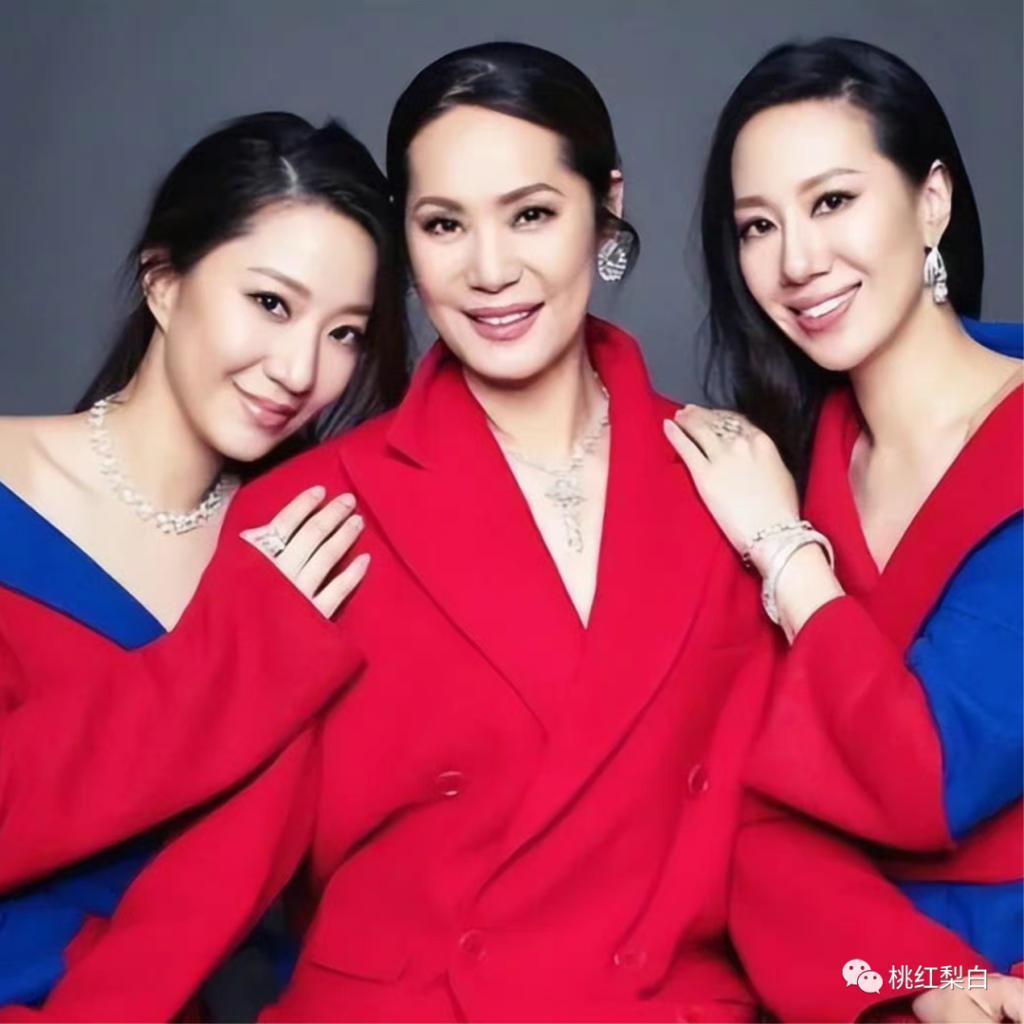 假名媛姐妹花集体嫁豪门，手段够狠！