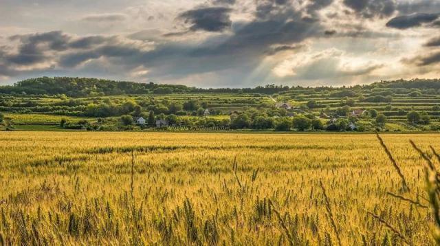 俄罗斯发表声明：重要协议的达成将对全球粮价产生何种影响？