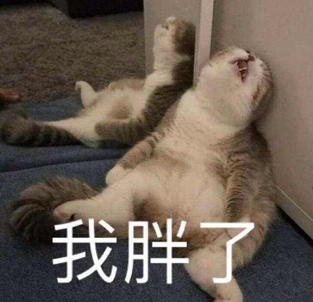 这些APP经历了怎样的转变，从大众到冷门。