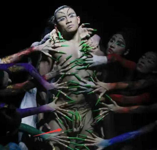 杨丽萍大尺度舞蹈再引发强烈质疑