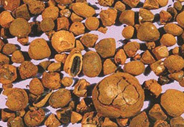 百万级价格一公斤，仍然供不应求？