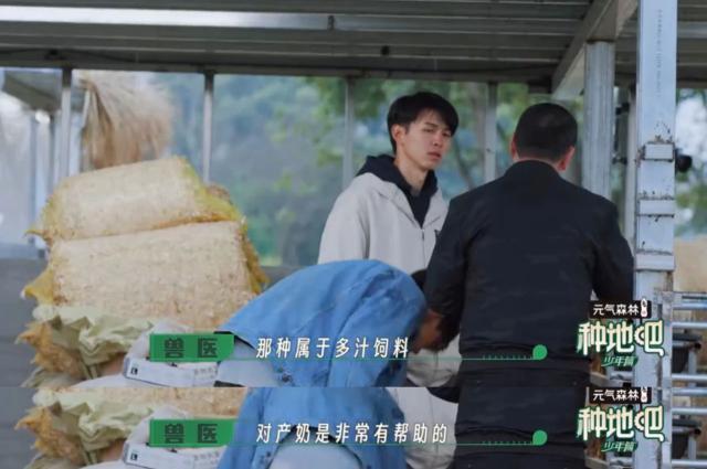 自古“糊综”多仙品！