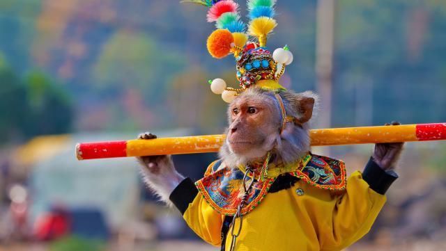 在这个时代，大师兄不仅要拯救师傅，还需要为业绩承担责任吗？