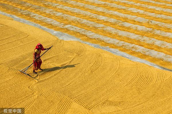 多国颁布大米出口禁令，影响几何？