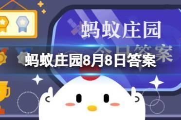 蚂蚁庄园8.8 梧桐报秋的习俗与什么成语有关