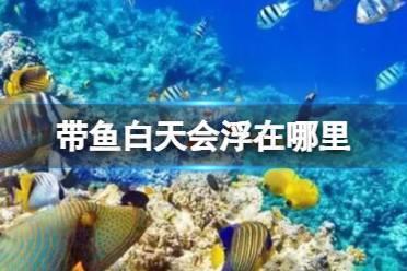带鱼白天在海水中层还是海底 蚂蚁森林神奇海洋今日答案8.8最新
