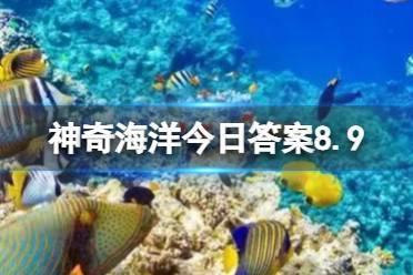 流线型身体形状有什么作用 神奇海洋8.9答案