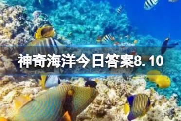 神奇海洋今日答案8.10 支付宝海水中最丰富的矿物质