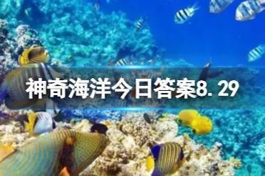贝壳类生物主要通过鳃还是皮肤呼吸 神奇海洋今日8.29贝壳答案