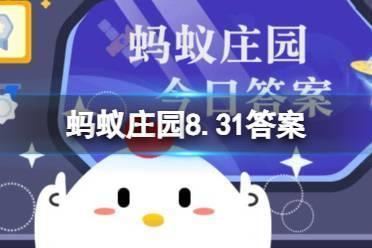 洗碗棉怎么清洗 能用微波炉加热清洁吗