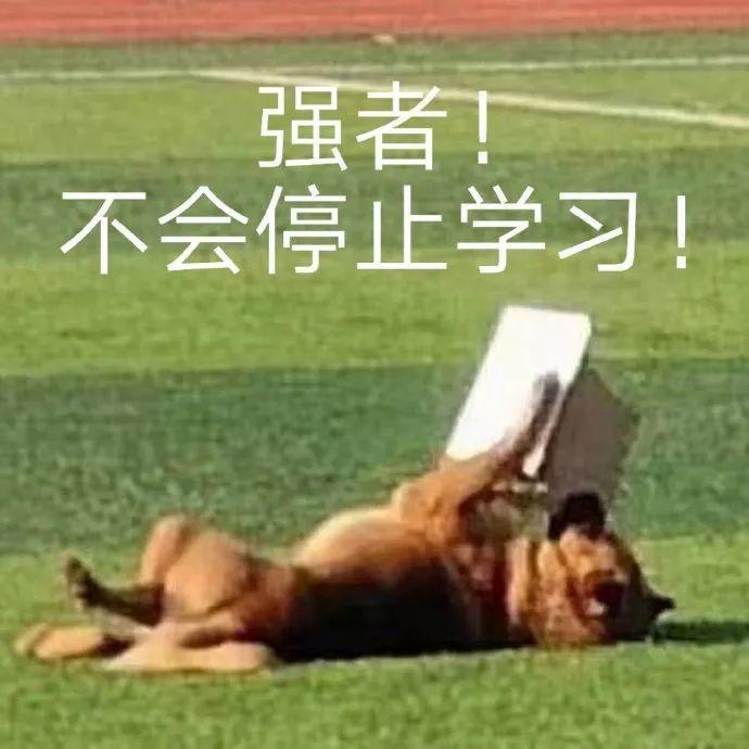 不是吧？小米新机要用升降摄像头