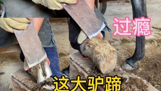 坐进这台吉利，我悟了