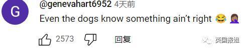 日本男子砸200万变成狗被人牵着在街上遛，视频火遍外网！网友：真的狗看了都害怕