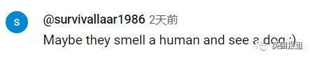 日本男子砸200万变成狗被人牵着在街上遛，视频火遍外网！网友：真的狗看了都害怕