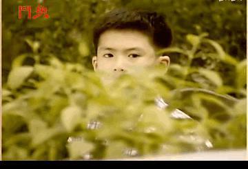 她越爱，就越为她不值