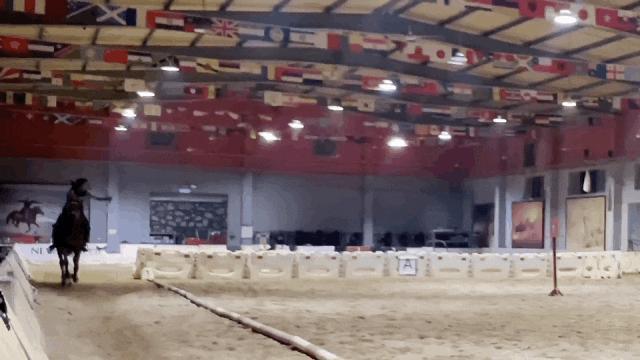 这是内娱第几个紫薇星？