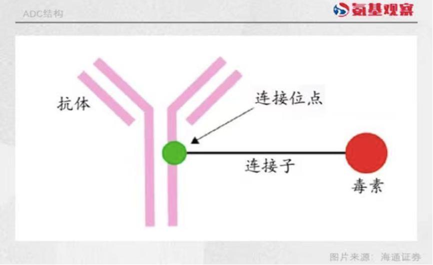百亿明星公司陨落：一场ADC领域的典型翻车事件