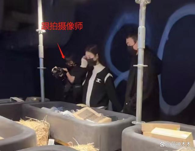 王思聪被曝升级做爸爸，抱婴儿图疯传，刚骂《封神》是垃圾片