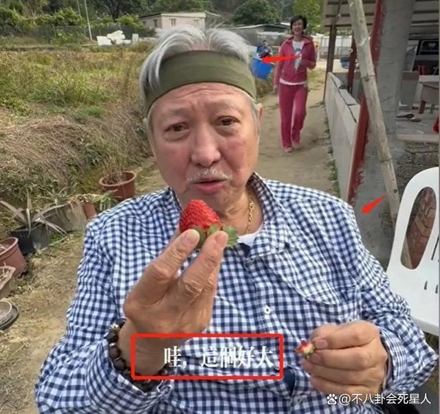 69岁成龙花5亿拍“翻版”《战狼2》，却让人看到功夫片的没落