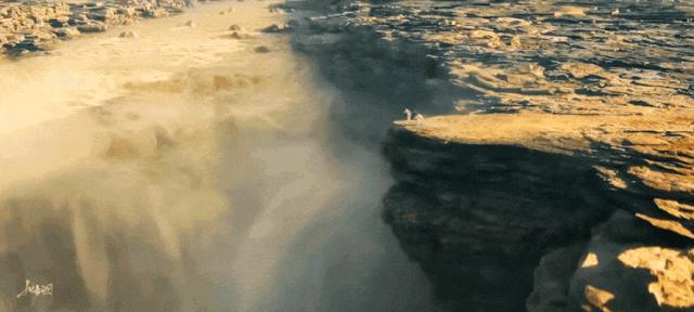 都说她是天降紫微星?