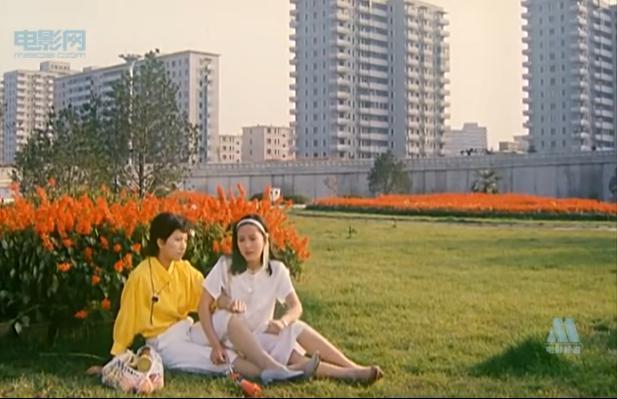 内地最惨女网红，又摊上事了