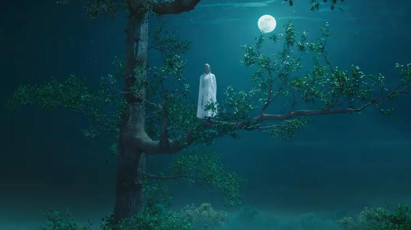 《长相思》美学大赏