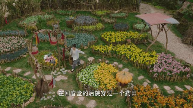 《长相思》美学大赏