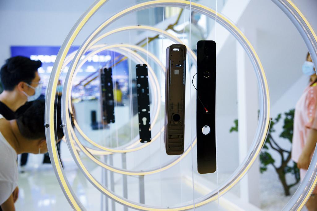 智能门锁 vs 智能门铃：哪种是未来的最终解？