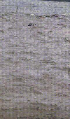 超强台风暴雨来袭，多地受灾！汽车被泡水、冲走该怎么处理？