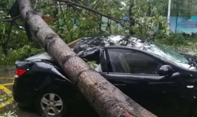 超强台风暴雨来袭，多地受灾！汽车被泡水、冲走该怎么处理？