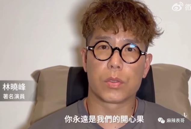 再见，李玟