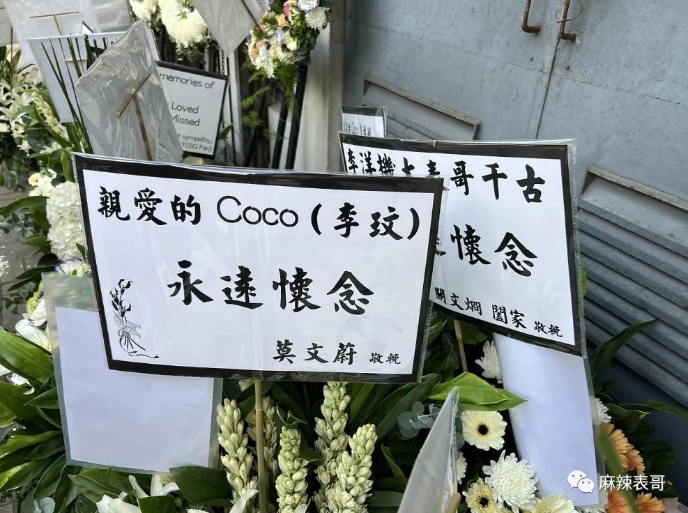 再见，李玟