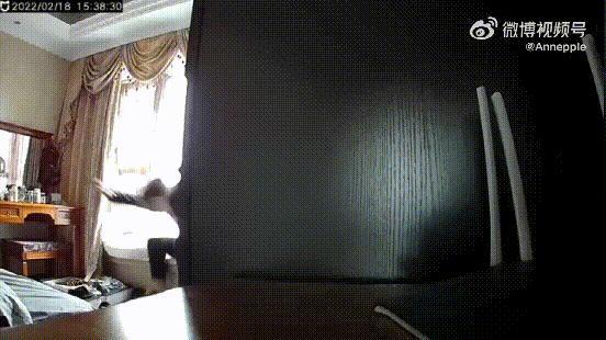 这瓜，有点炸裂……