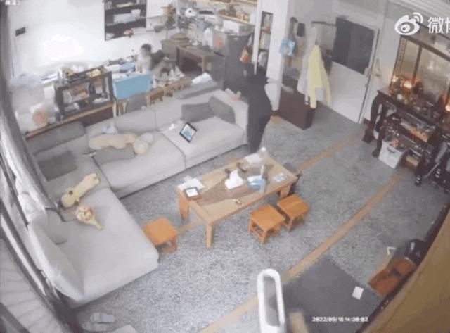 《小时代》十周年，杨幂和谢依霖竟成为真正的“时代姐妹花”