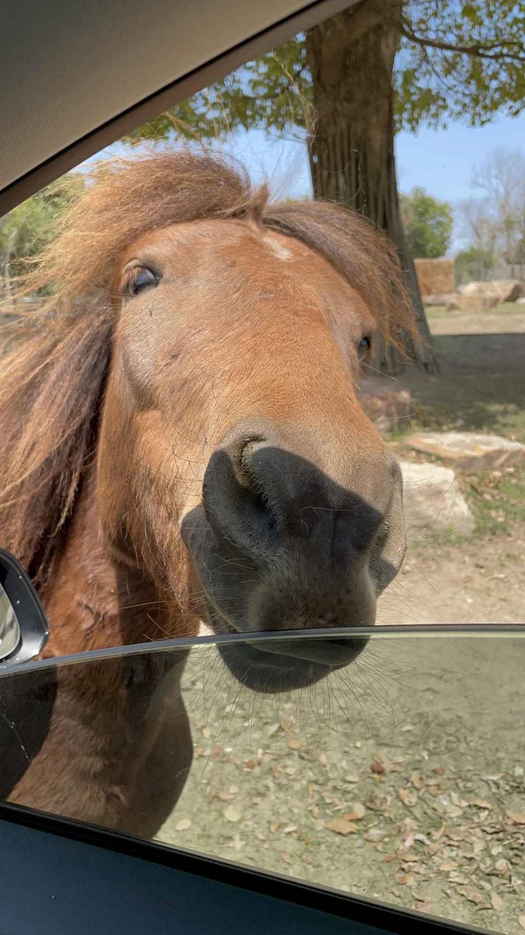 一台 Model Y 和 3 种生活新体验