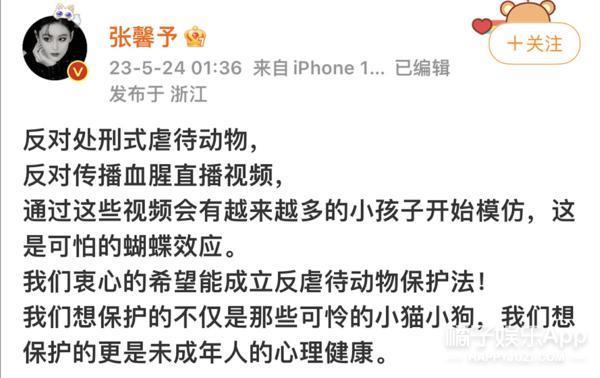 还记得张馨予吗？成为军嫂之后的她在做什么？